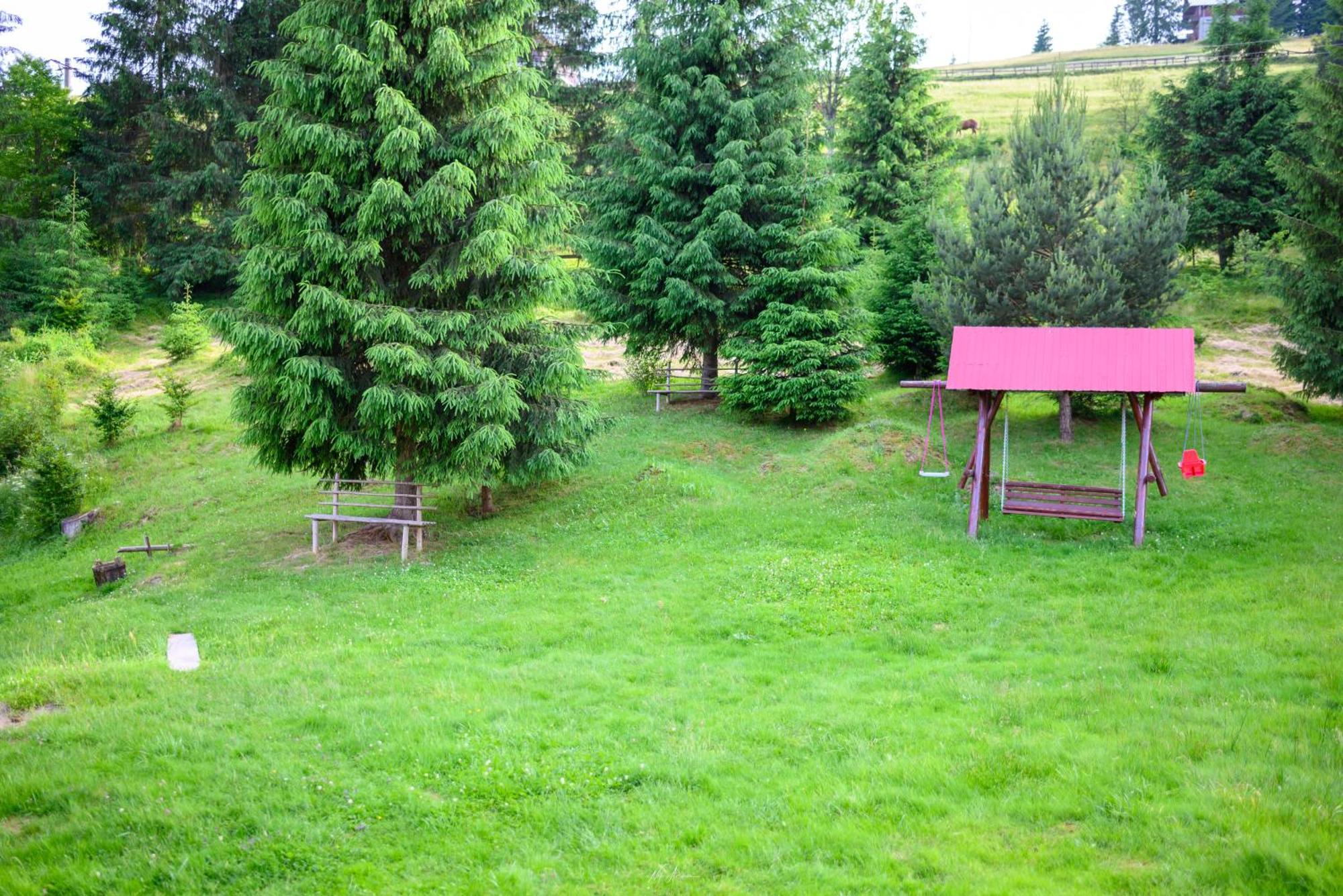 Вилла Casa Alina Арьешени Экстерьер фото